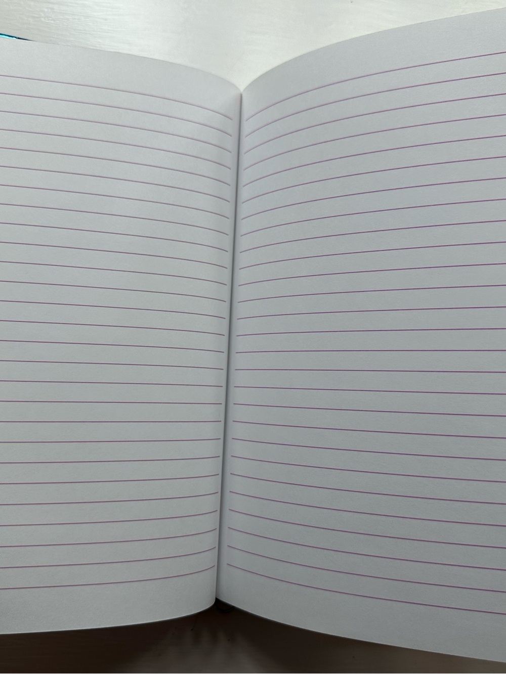 Disney Castle Collection Journal Notebook - Picture 6 of 10